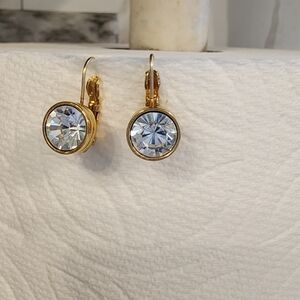 Swaroski Elegant  Earrings